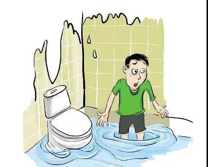 裝修，為什么選擇三葉石裝飾？